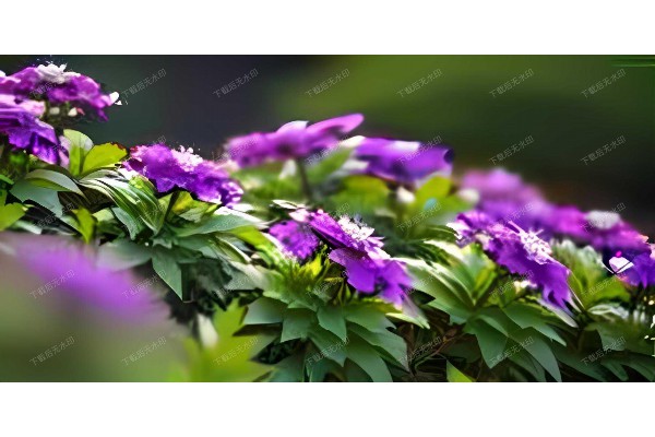 一杯好茶,全城送达,杭州生活新体验! 一杯好茶,全城送达,杭州生活新体验!